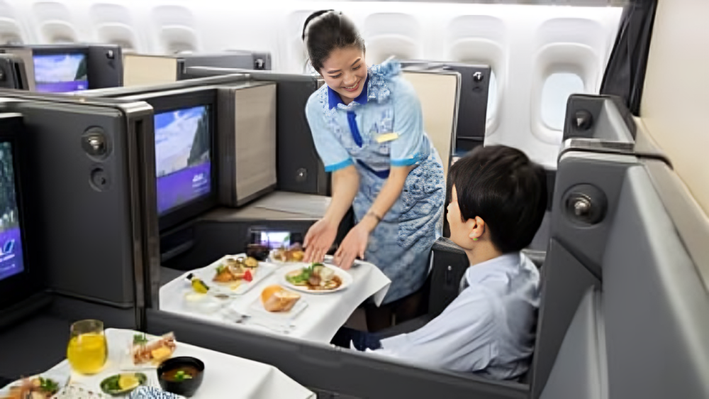 ANA Business Class, ANA First Class,  ANA Business Class Ticket Price, ANA Ticket Price